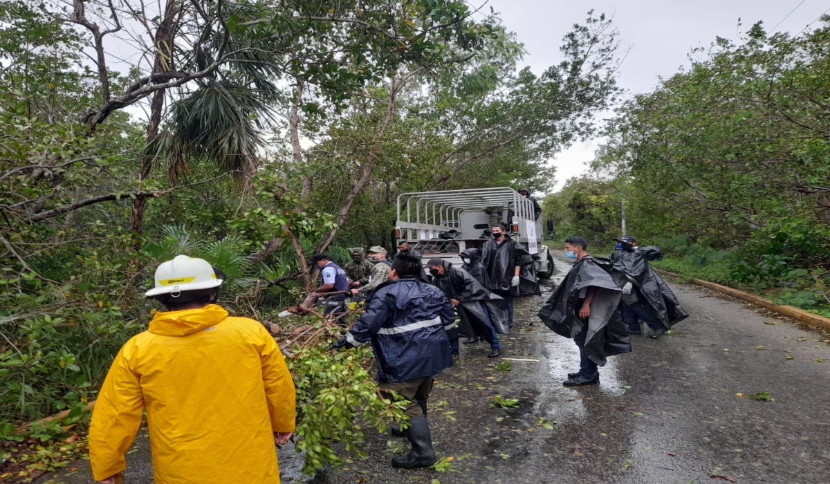 Los elementos realizaron el levantamiento y podado de árboles. Foto: Ovidio López.