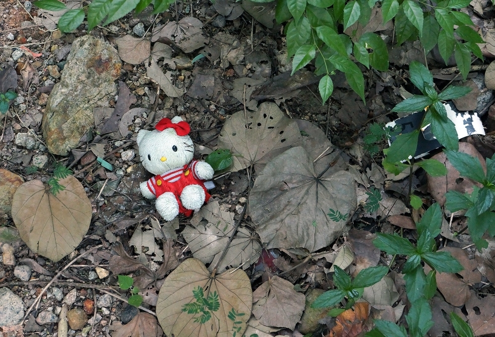 Revelan la causa de muerte de Ana Roberta, la niña hallada sin vida en Nuevo León