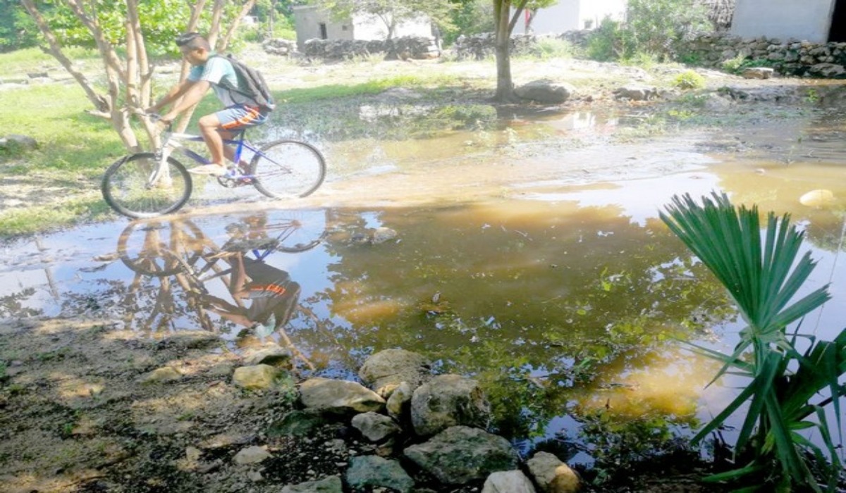 Las anegaciones se concentraron en la zona de la costa. Foto: Jorge Aké.