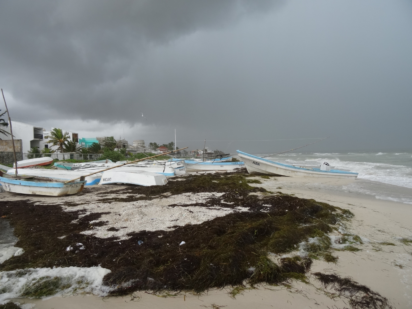 Se prevén lluvias y altas marejadas. Se prevén lluvias y altas marejadas.