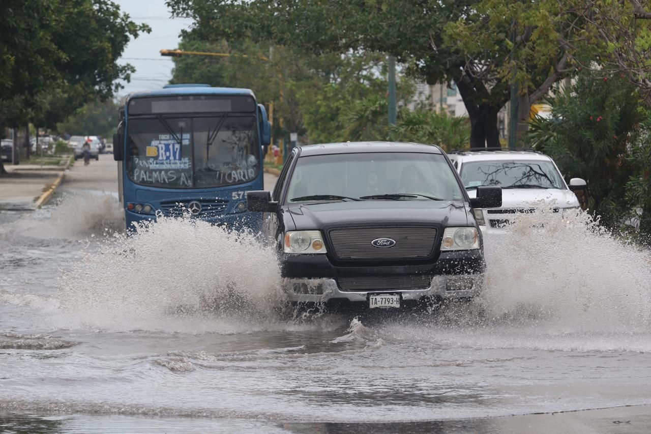 Foto: Jorge Delgado. Foto: Jorge Delgado.