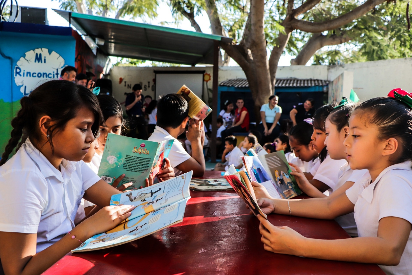 La plataforma se activará para la inscripción de los estudiantes de educación básica de Quintana Roo