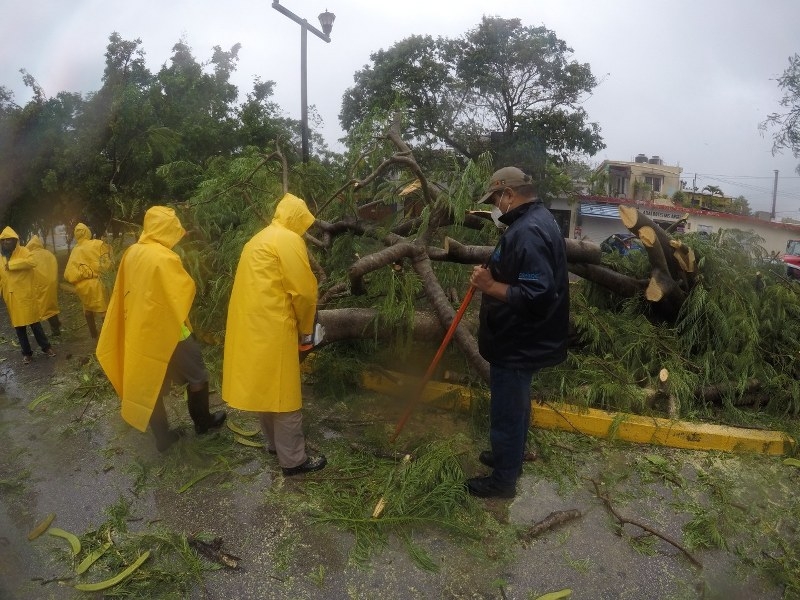 Entre las afectaciones se encuentran 120 árboles caídos e inundaciones menores en varias zonas de Cancún. Foto: Por Esto!