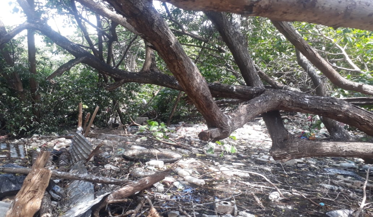 Señalan que los vecinos deberán comprometerse a tener limpia la zona. Fotos: Irene Barradas.