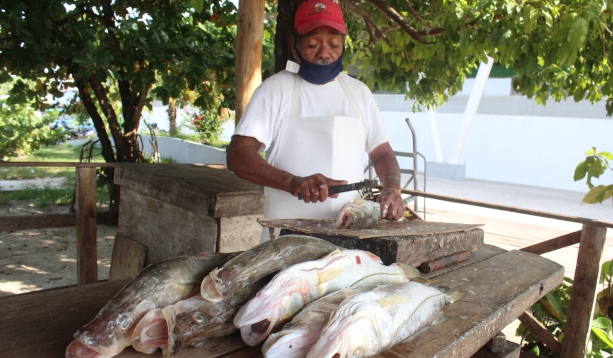 Los alineadores señalan que se mantienen con el poco trabajo que les dan los restaurantes.Foto: Emmanuel Sansores.
