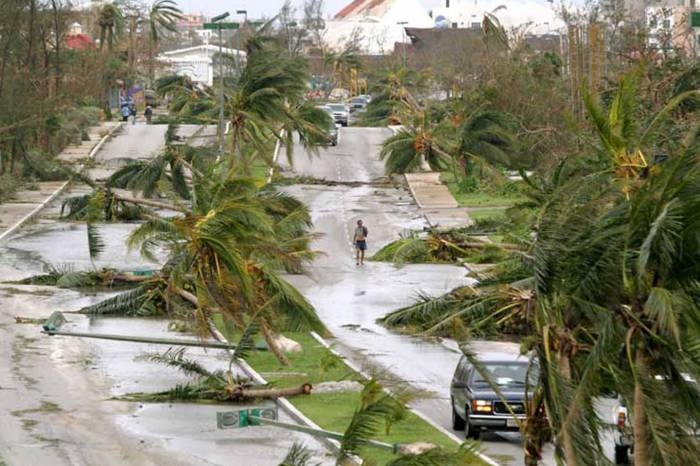 El Huracán Wilma devastó las palmeras del Boulevard Kukulcán en la Zona Hotelera de Cancún
