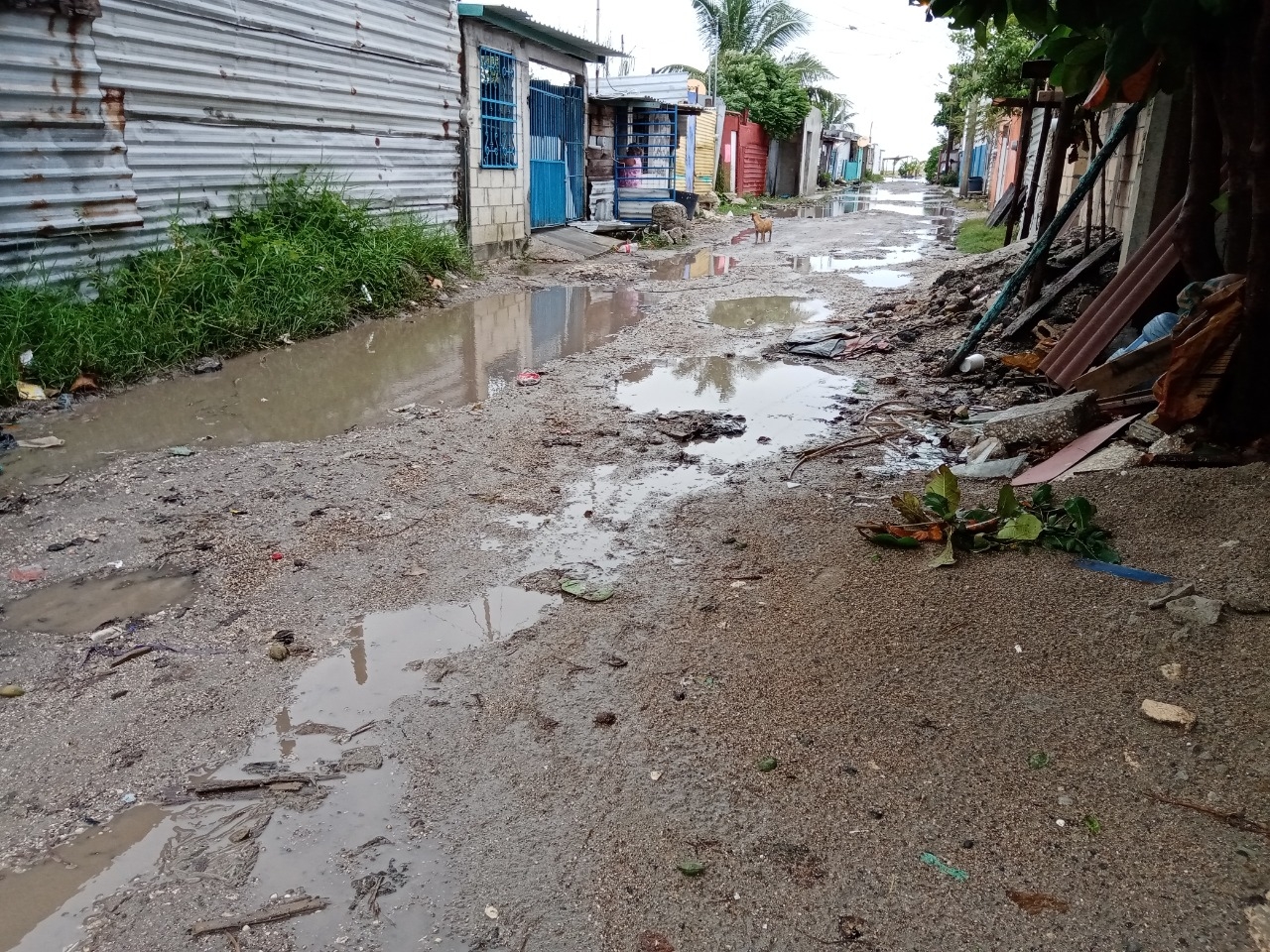 FOTOS: Agustín Ferrer