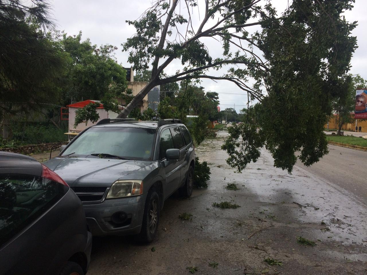 FOTOS: Rafael García