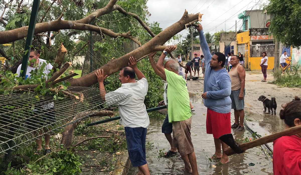 Vecinos se unieron para limpiar los destrozos que se originaron por el Huracán Delta. Foto: Mario Hernández.