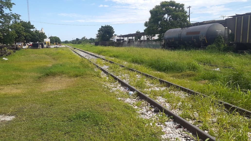 Actualmente Fonatur solo ha liberado dos de 237 kilómetros de las vías férreas en Campeche. Foto: David Vázquez