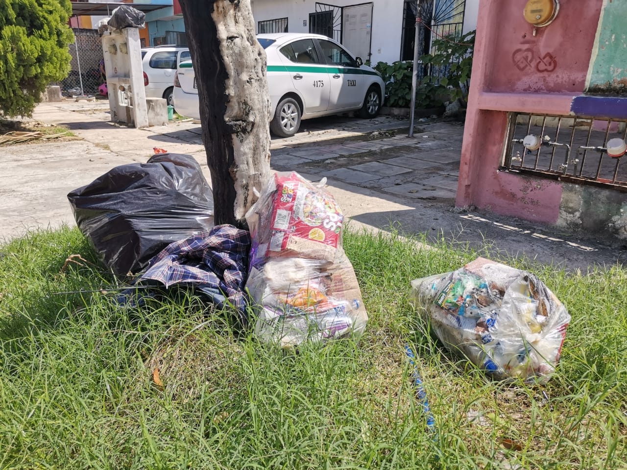 FOTOS: Brian Lara