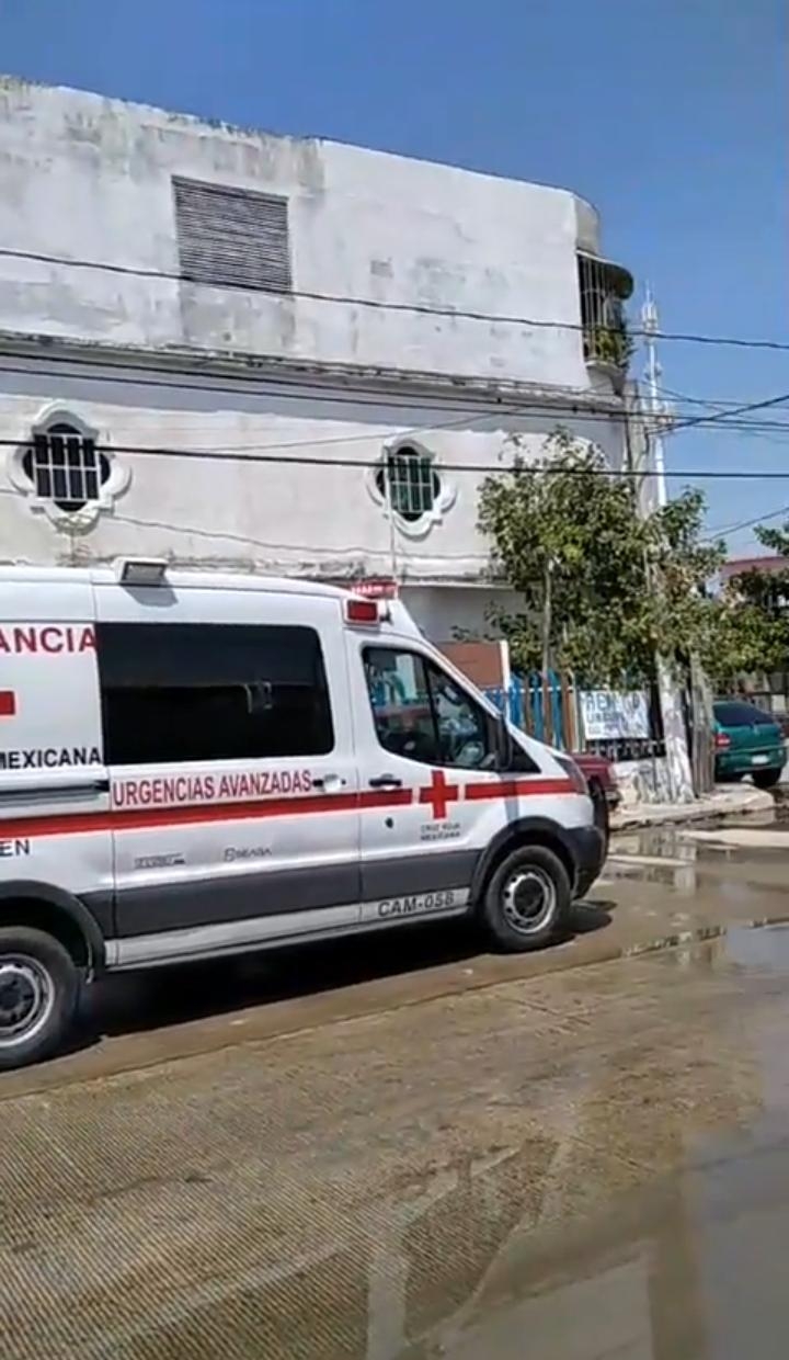 FOTOS: José Pacheco