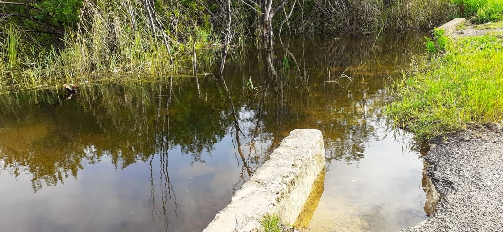 Se construya un dique en ambos lados del camino. Foto: Lusio Kauil Se construya un dique en ambos lados del camino. Foto: Lusio Kauil