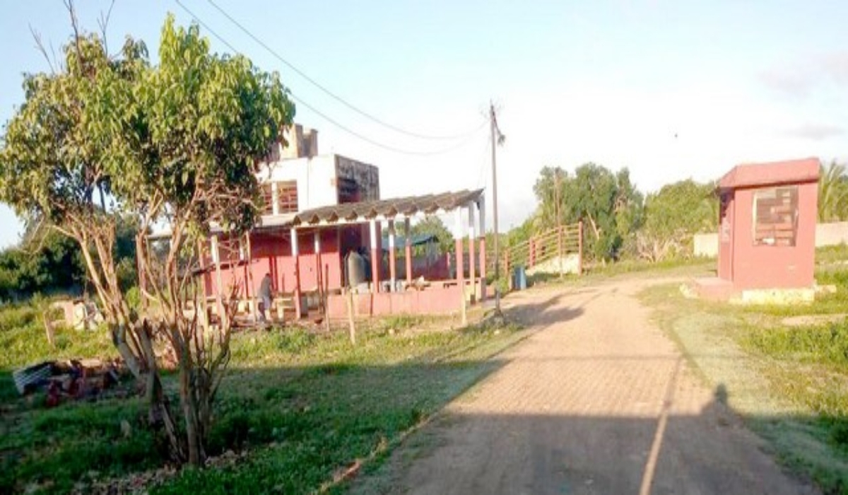 Los abastecedores prefieren laborar en sus casas en lugar de acudir al rastro. Los abastecedores prefieren laborar en sus casas en lugar de acudir al rastro.