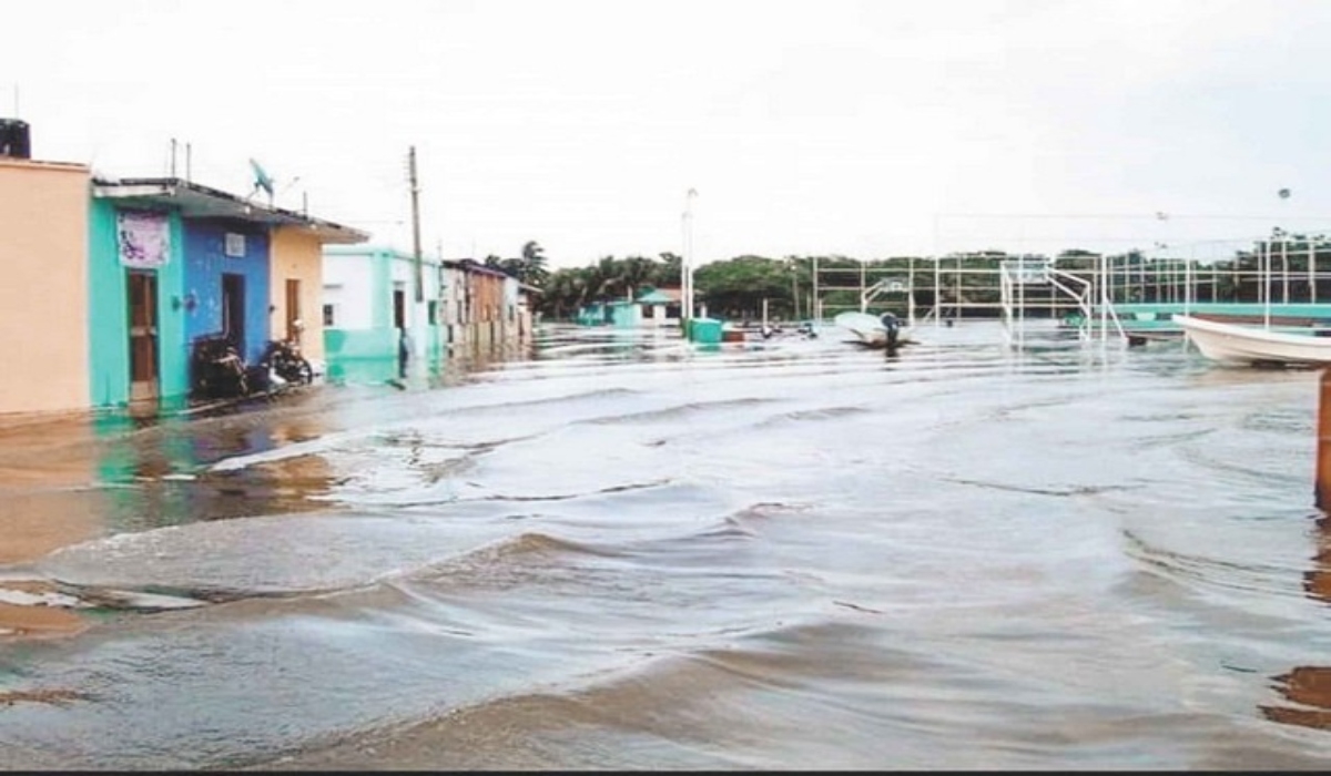Los habitantes de Palizada temen que se registre una inundación como la del 2011. Los habitantes de Palizada temen que se registre una inundación como la del 2011.