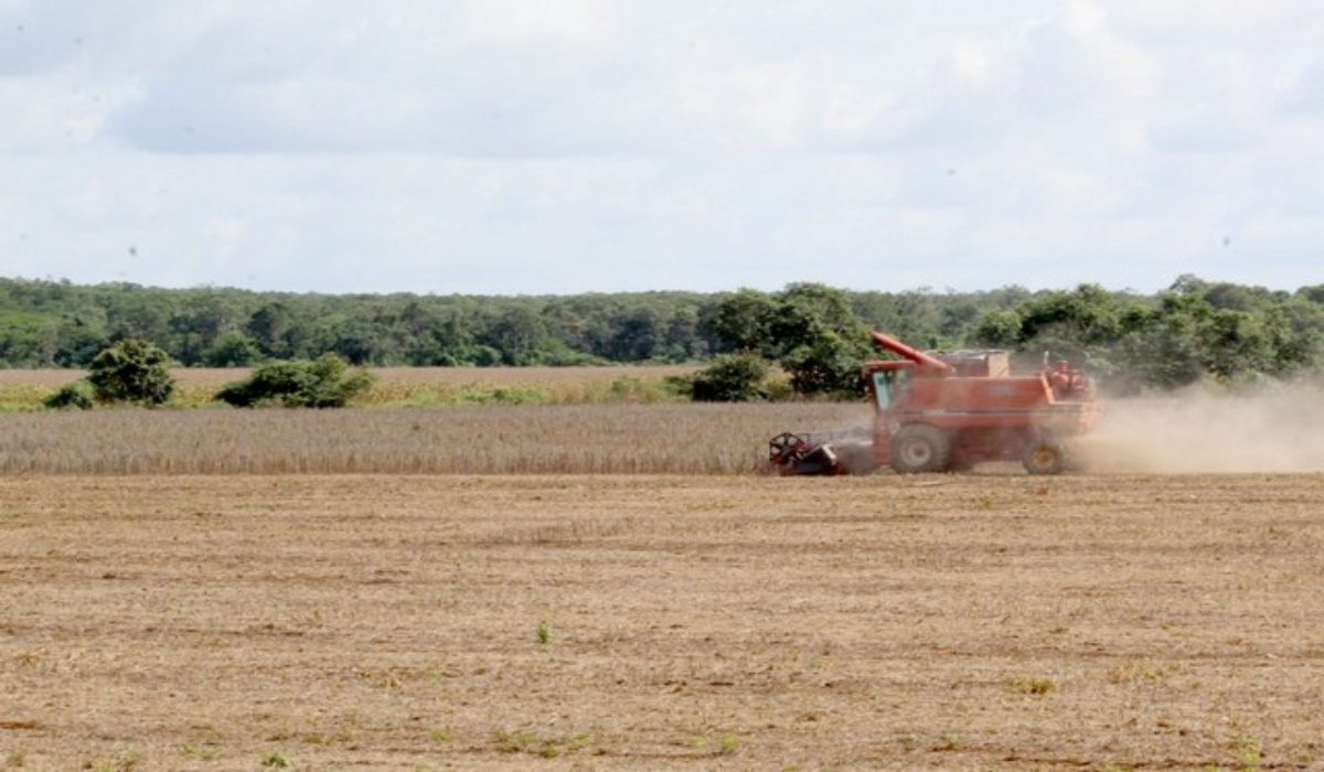 Las condiciones climatológicas que se han presentado provocan el retraso de la producción agrícola. Las condiciones climatológicas que se han presentado provocan el retraso de la producción agrícola.