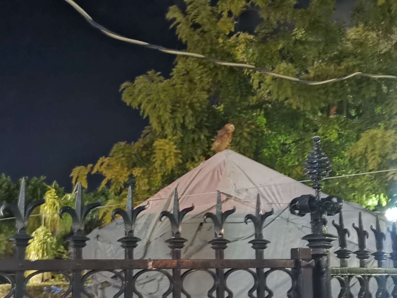 Foto: Ricardo Jiménez