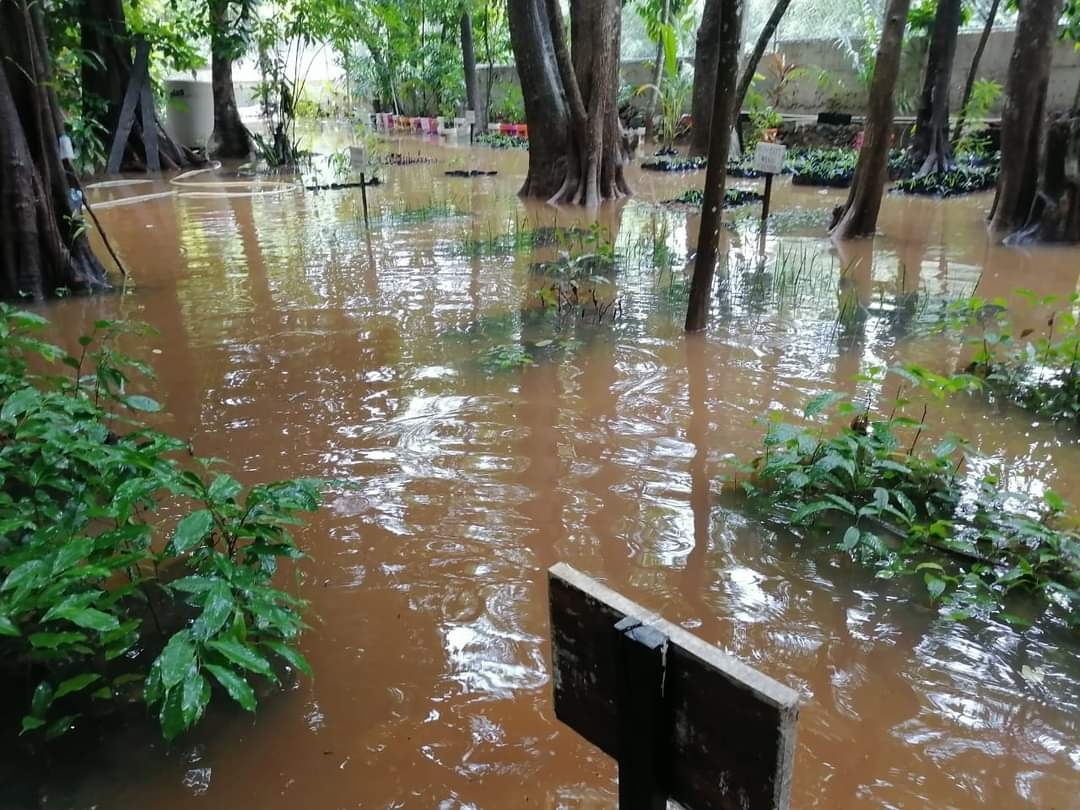 Foto: Abraham Cohuó