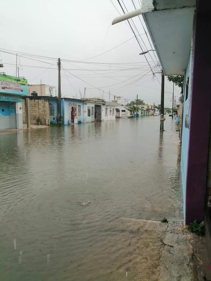 Foto: Manuel Colli
