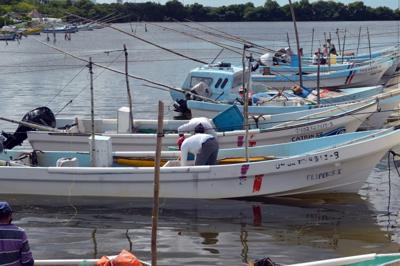 FOTOS: Alan Gómez