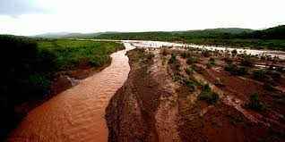 Cofepris reconoce que Río Sonora está contaminado; Grupo México rechaza responsabilidad