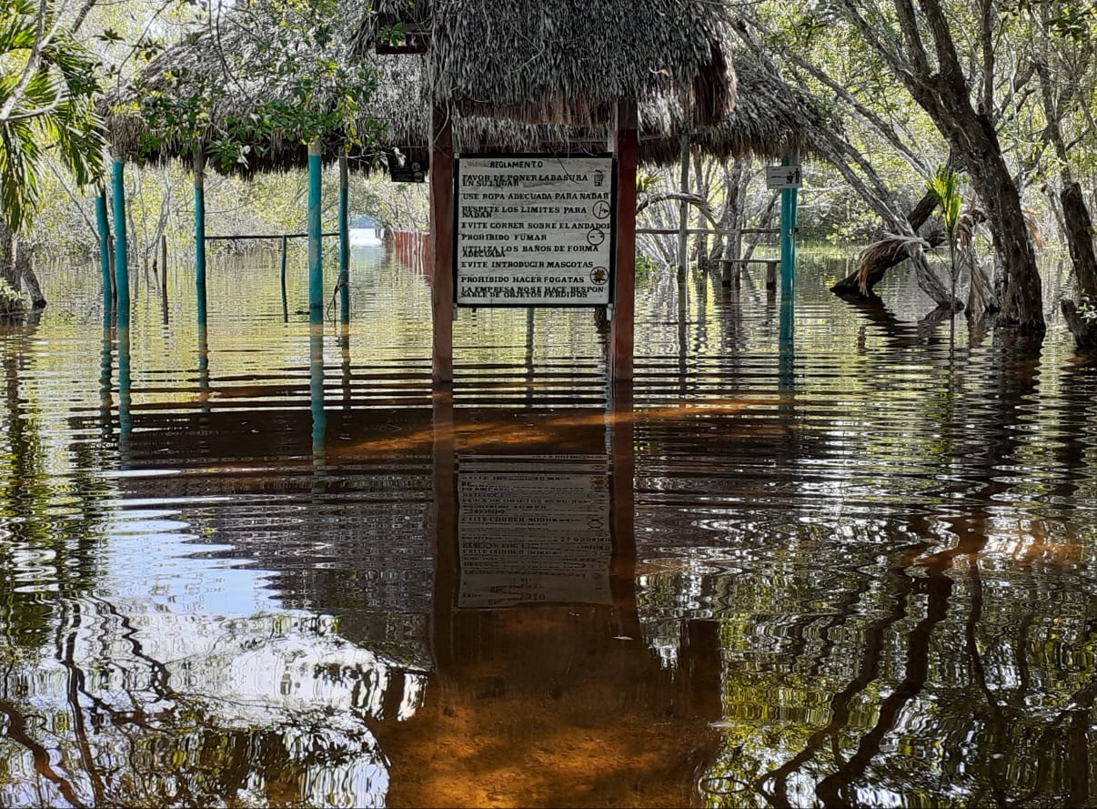 Fotografía: Lusio Kauil Fotografía: Lusio Kauil