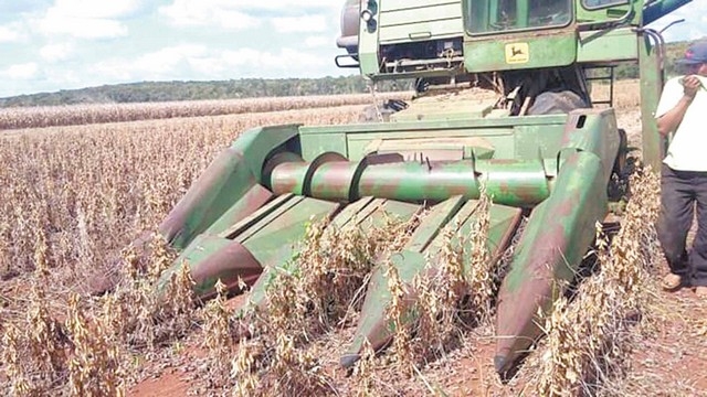 Colonias menonitas se ven imposibilitadas de sacar las toneladas de leguminosas por las anegaciones. Colonias menonitas se ven imposibilitadas de sacar las toneladas de leguminosas por las anegaciones.