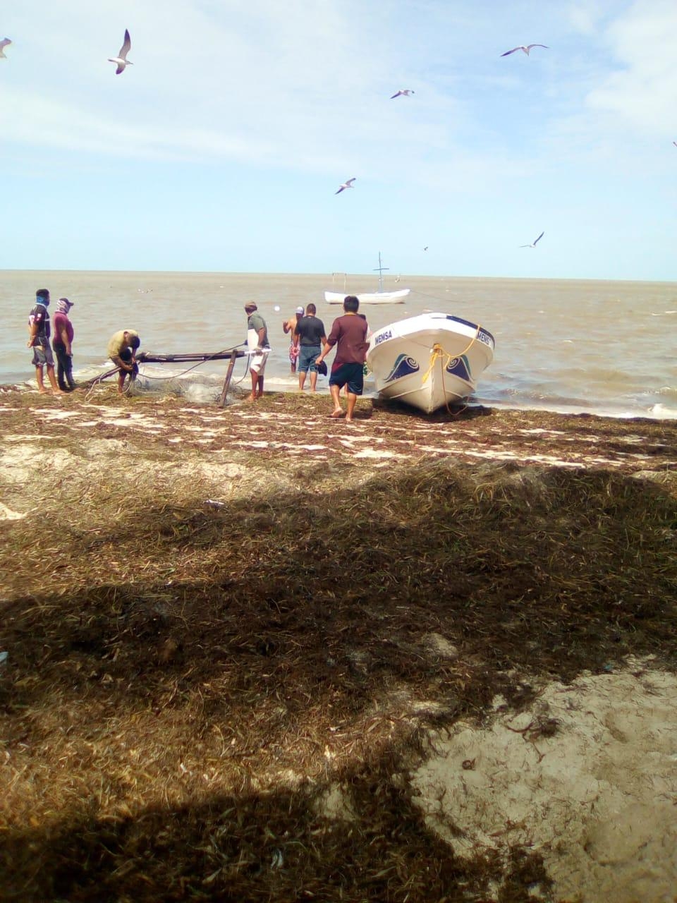 FOTO: Alejandro Colli