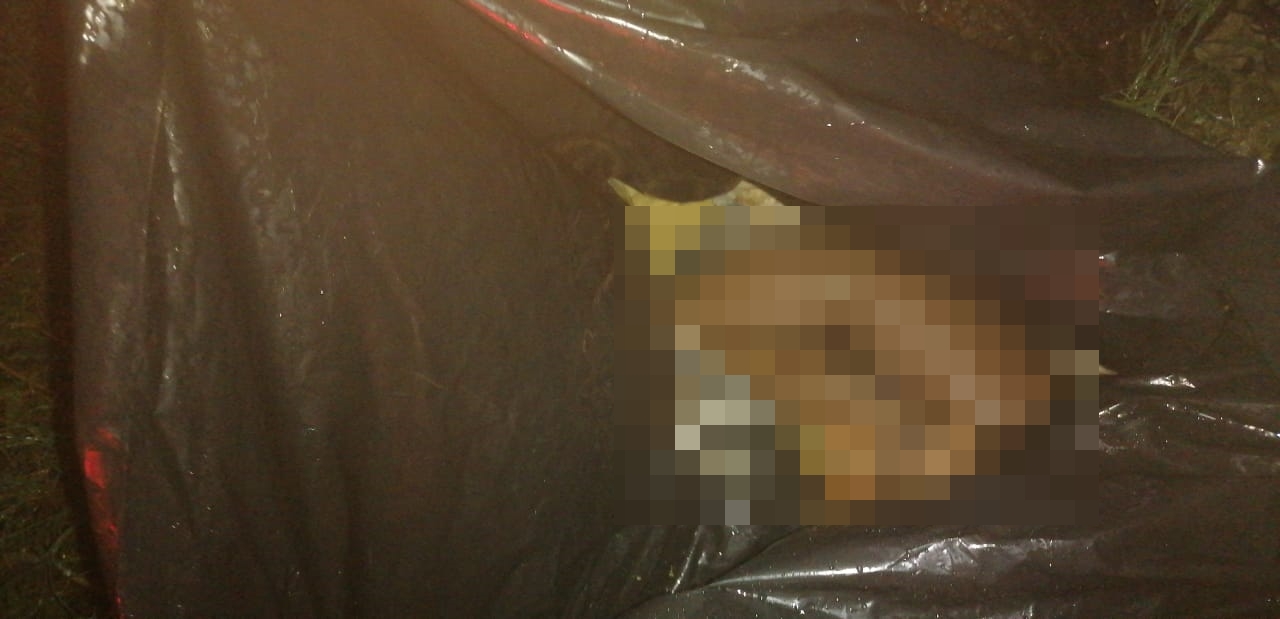 Encuentran cuerpo descuartizado en Tulum