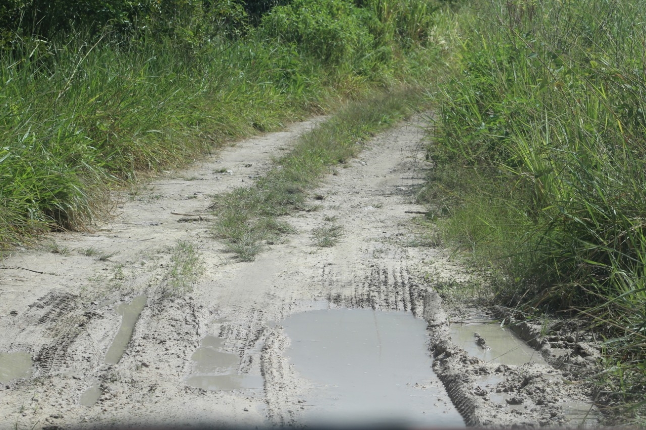 Las lluvias han afectado a varios caminos de la Ribera del Río Hondo Foto: Eric Castillo Las lluvias han afectado a varios caminos de la Ribera del Río Hondo Foto: Eric Castillo