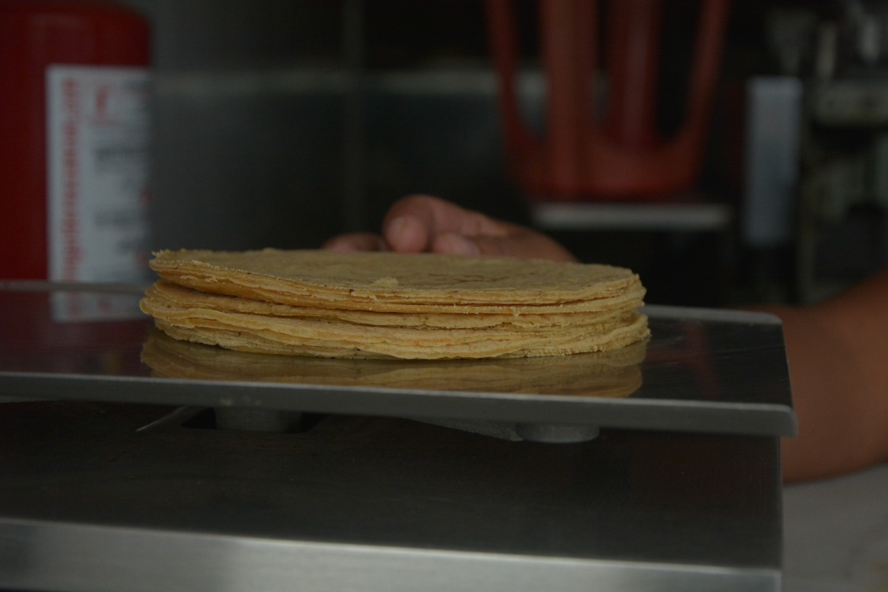 Podría aumentar el costo de la tortilla en Quintana Roo