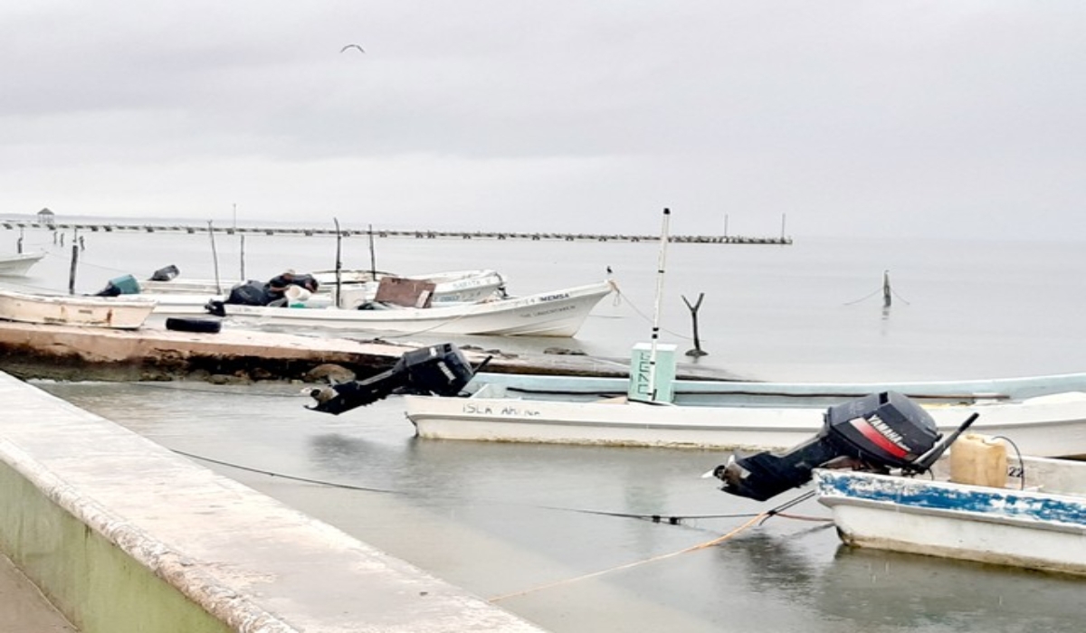 Pescadores optan por dedicarse a otras especies marinas. Foto: Jorge Aké.