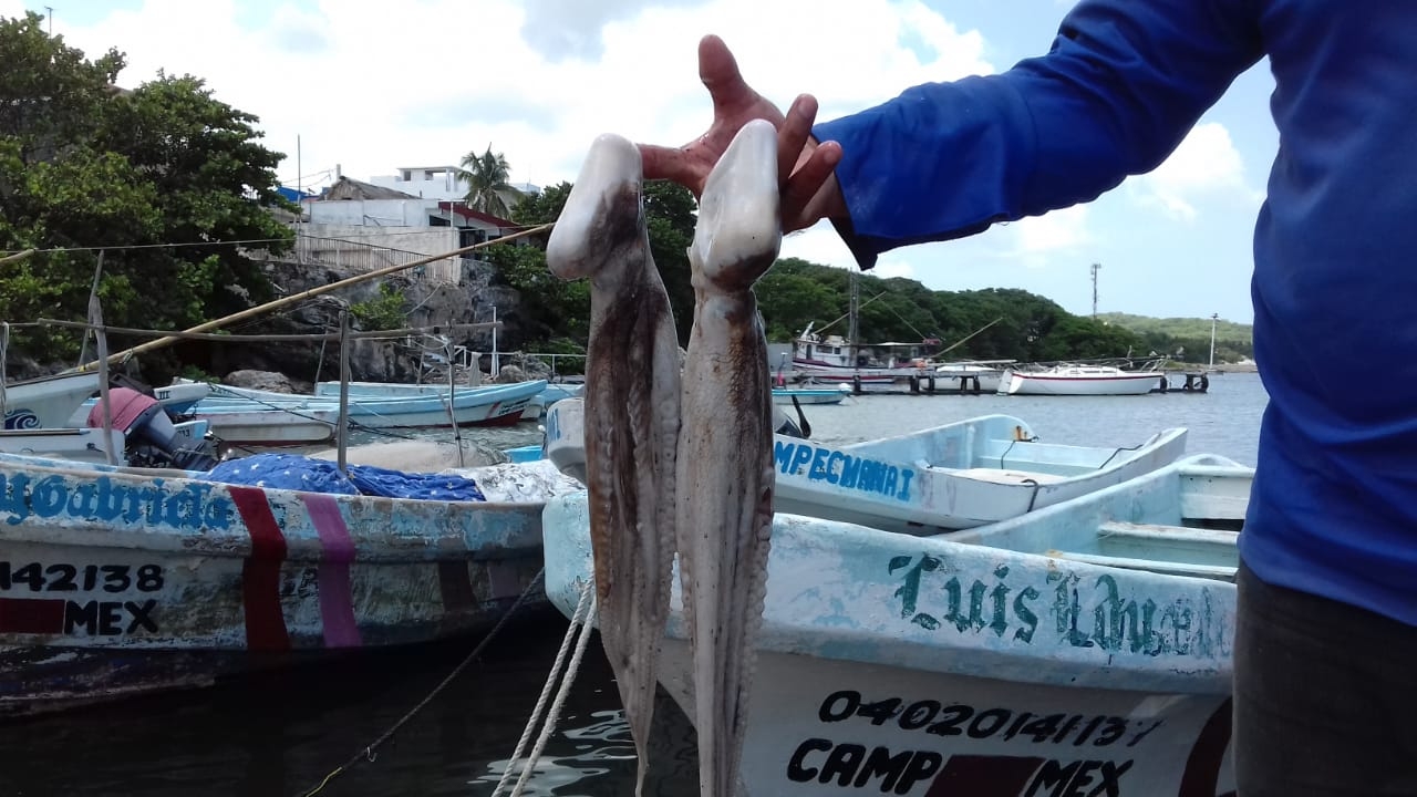 Foto: Alan Gómez