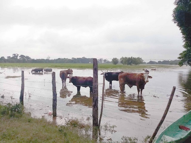 Foto: Julio Gutiérrez