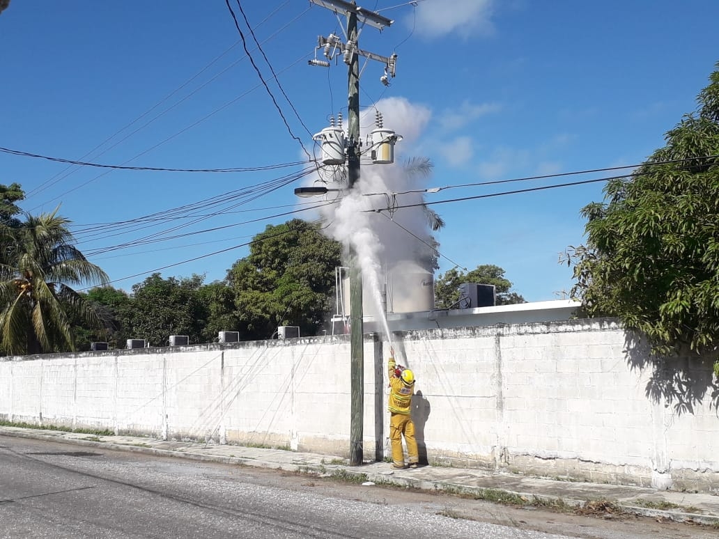 Foto: José Pacheco