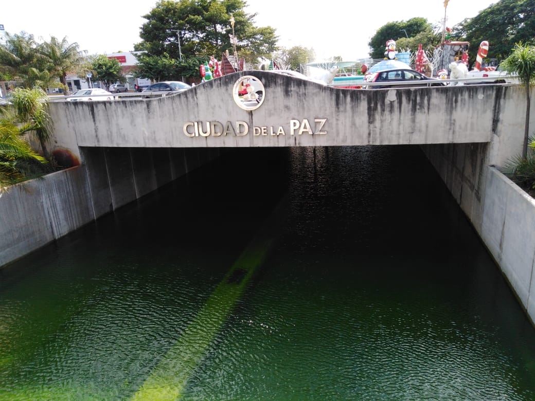 Foto: Oscar Suaste