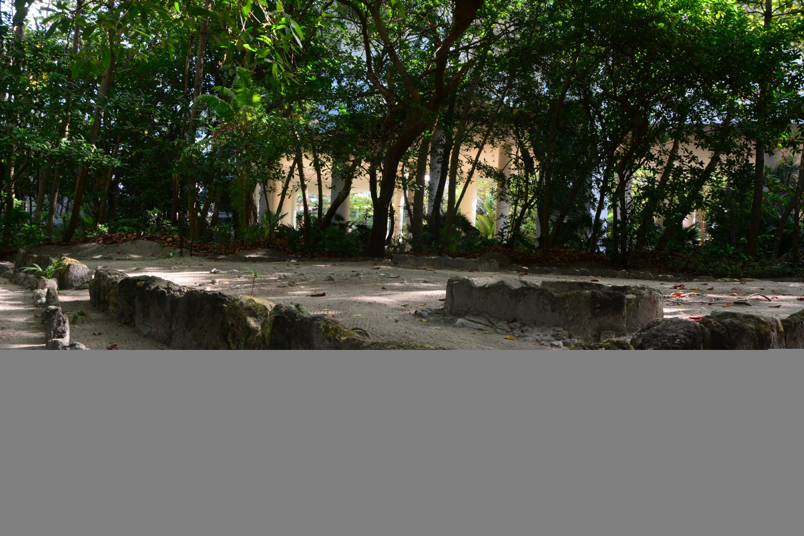 Estas zonas arqueológicas son perfectas para visitar al viajar a Cancún