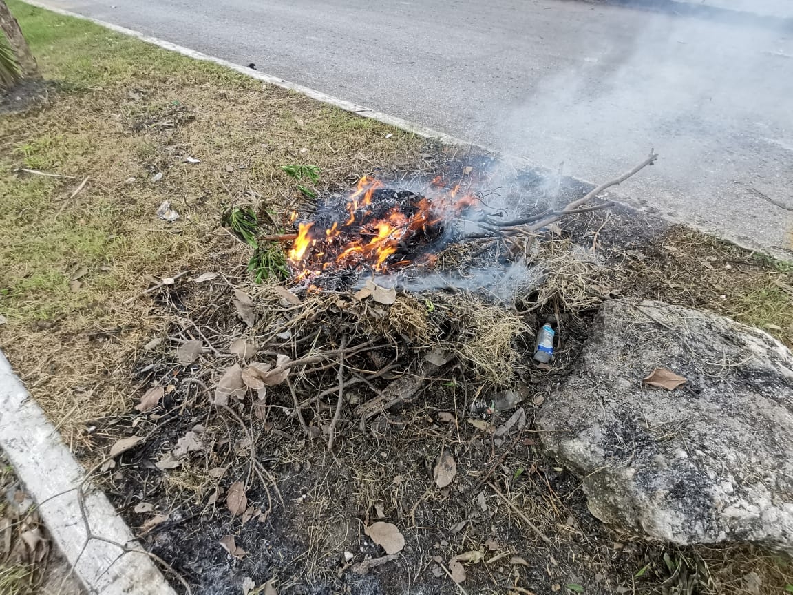 Autoridades de Benito Juárez iniciaron un programa sanitario emergente, donde se contempla la recoja y traslado de la basura