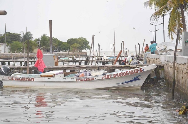 Buscan formar el Comité Municipal de Pescadores Ribereños Organizados, para regular las embarcaciones en Ciudad del Carmen
