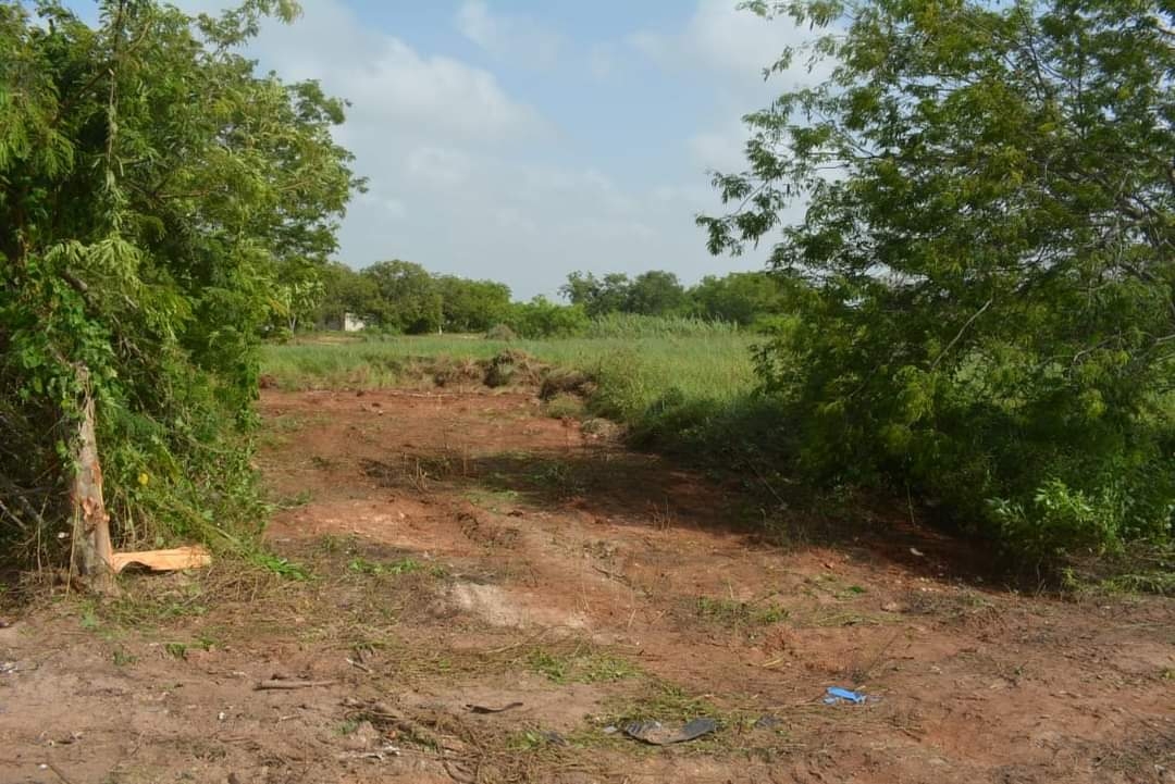 La Guardia Nacional no ocupará todo los terrenos donados, por lo que devolverá el restante a Chetumal La Guardia Nacional no ocupará todo los terrenos donados, por lo que devolverá el restante a Chetumal