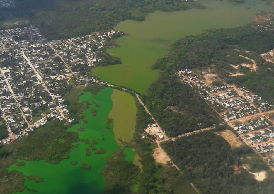 Sabana de Chetumal, sin protección ambiental ante invasión de personas