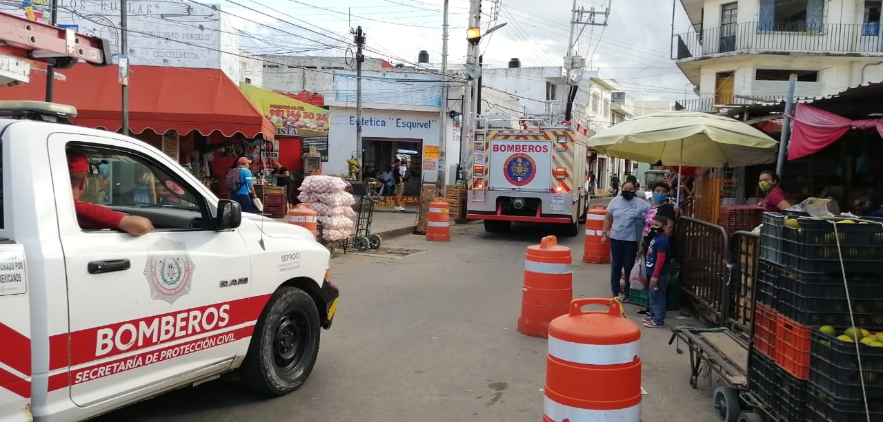 Foto: José Pacheco