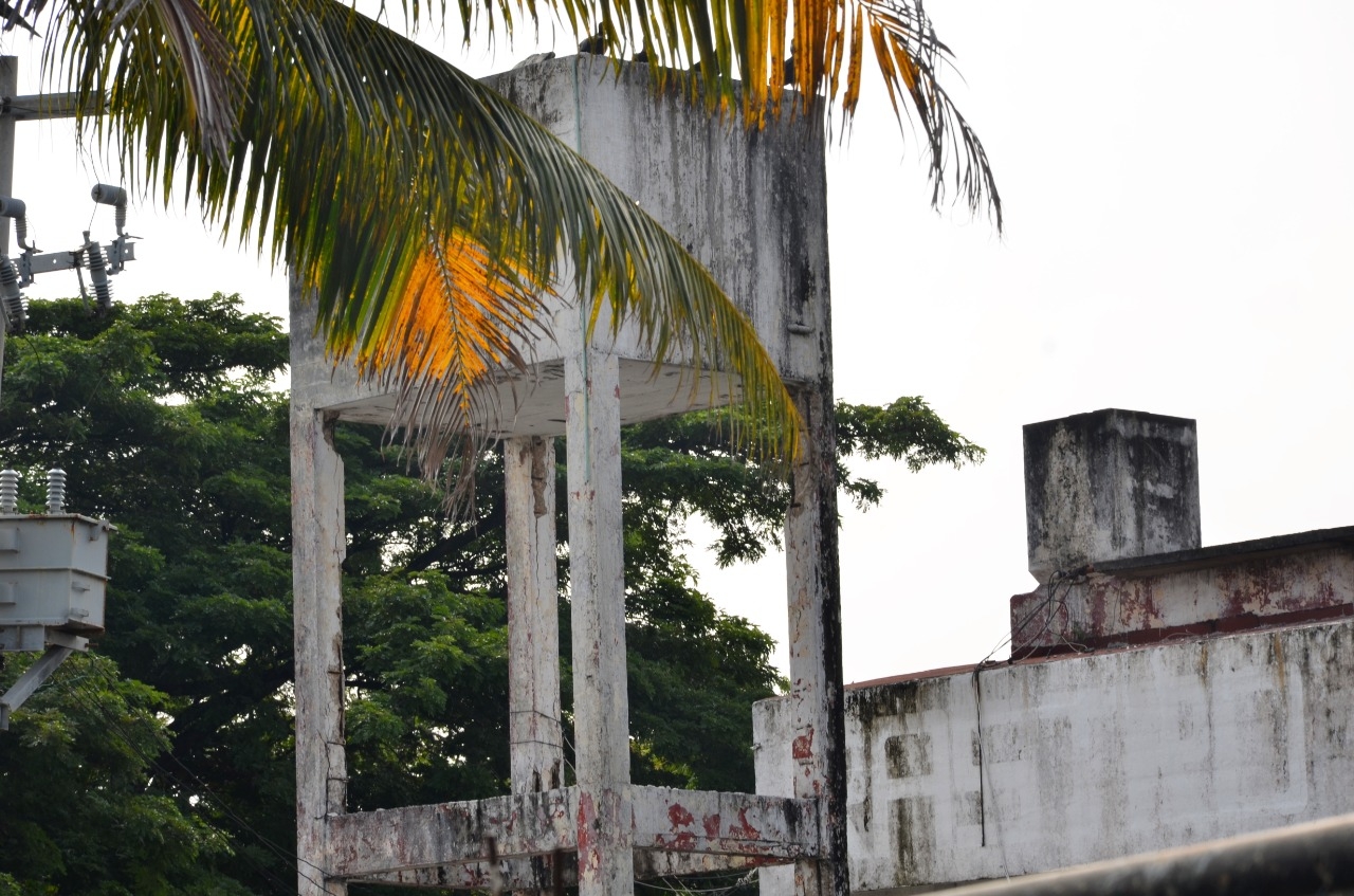 Foto: Fernando Kantún