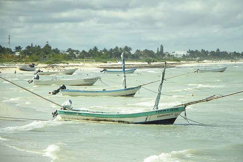 Foto: Luis Payán