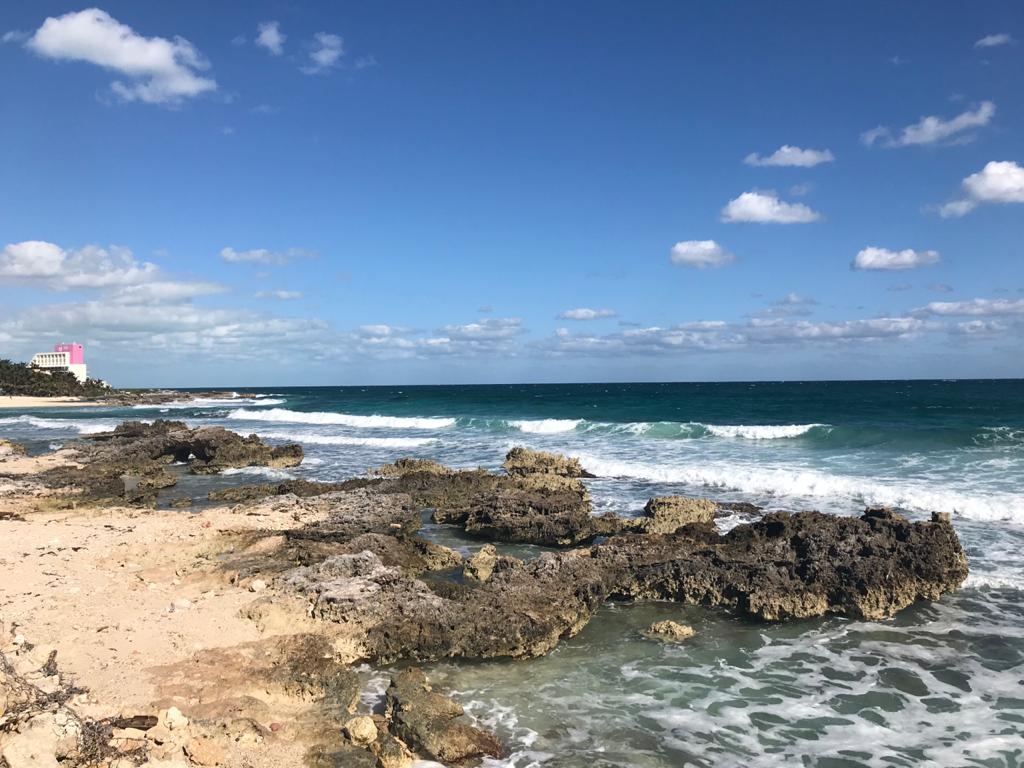 Foto:Nayeli Miranda