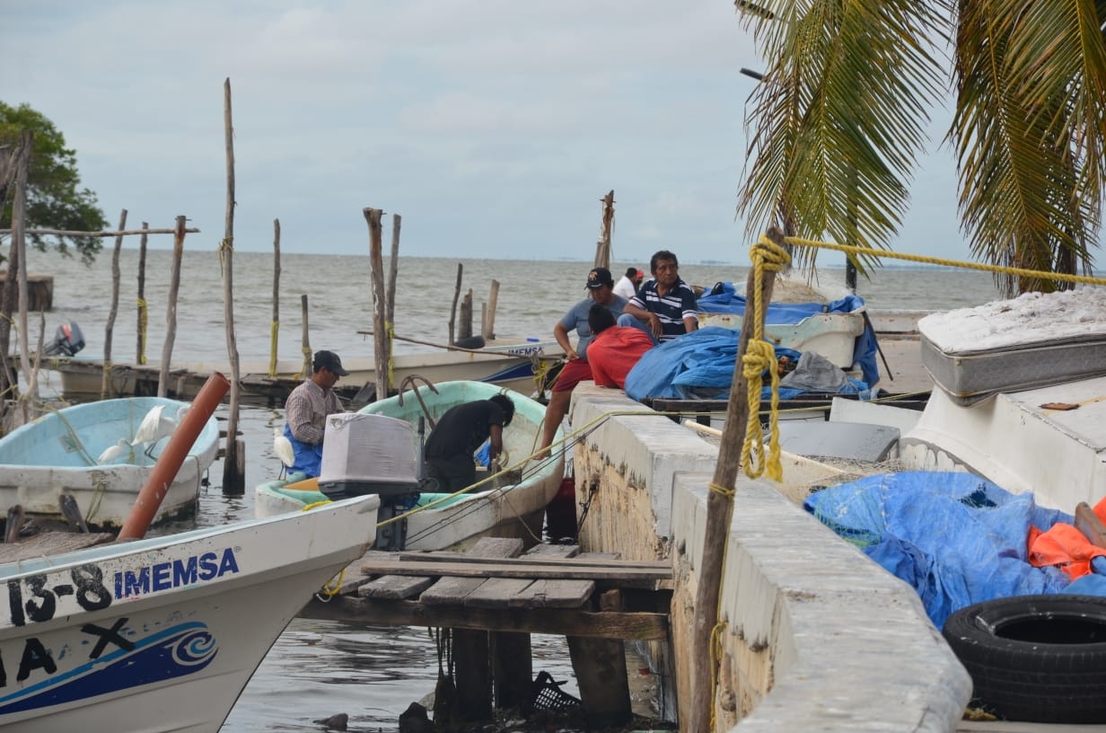 Mal clima en Yucatán paraliza la captura del pulpo, otra vez: VIDEO