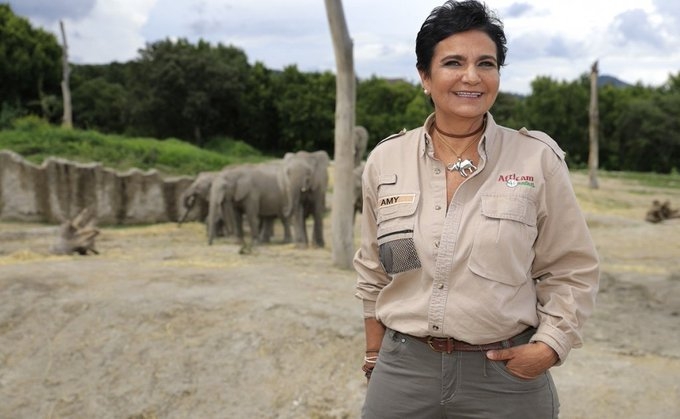 Fallece Amy Camacho