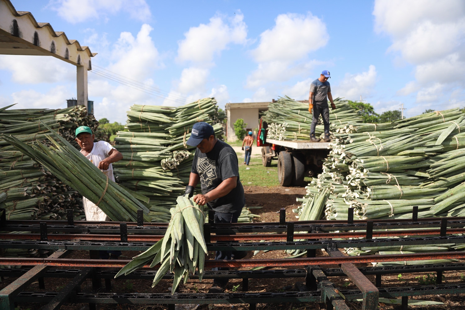 Henequeneros piden ayuda para salvar la industria