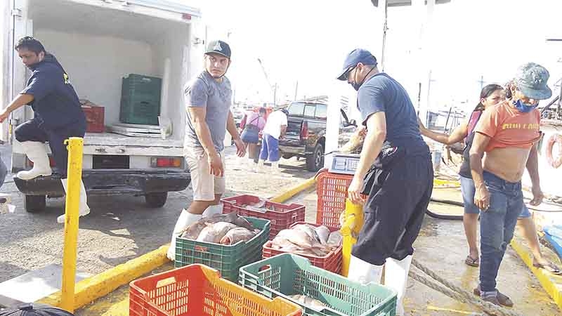 Foto:J. Jiménez M