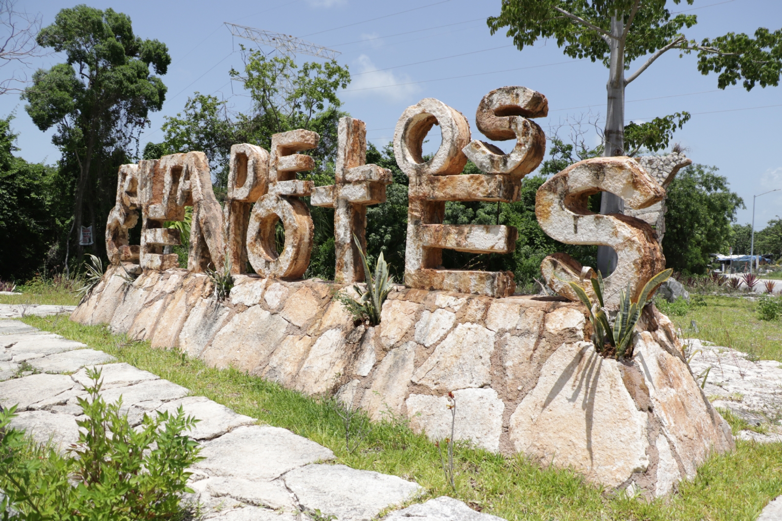 Venta de terrenos en la Ruta de los Cenotes propicia la contaminación: Experto